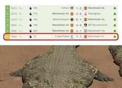 Enlace a Los veo a kilómetros