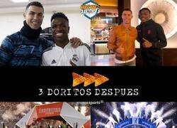 Enlace a Ya basta, Bicho!