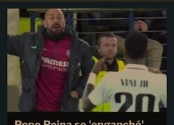 Enlace a Pelea de gallos.