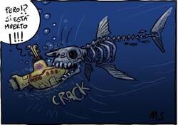 Enlace a Nunca des por muerto al Tiburón Blanco