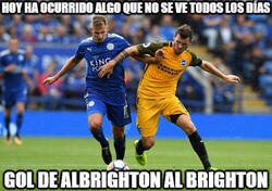 Enlace a Quizás haya sido el destino