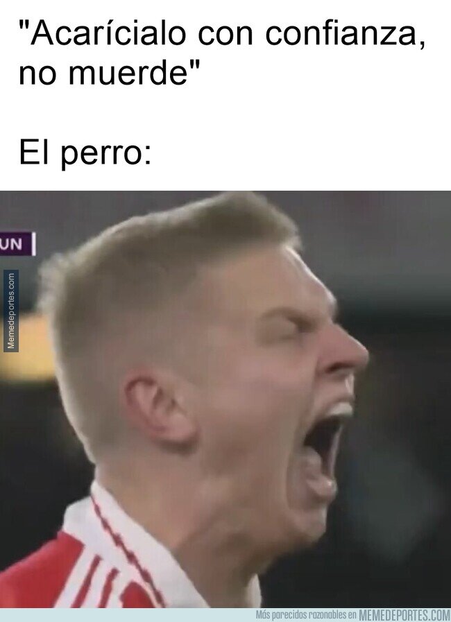 1179483 - Prefiero evitar la fatiga