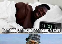 Enlace a Desatado el mosquito