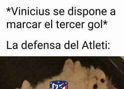 Enlace a ¿Por qué se quedaron todos quietos?