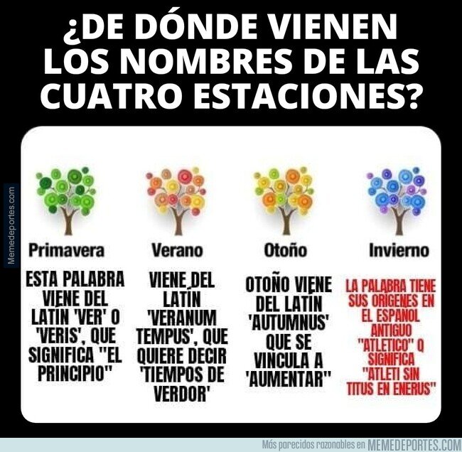 1179835 - Nunca pares de aprender, No lo podemos entender