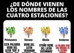 Enlace a Nunca pares de aprender, No lo podemos entender