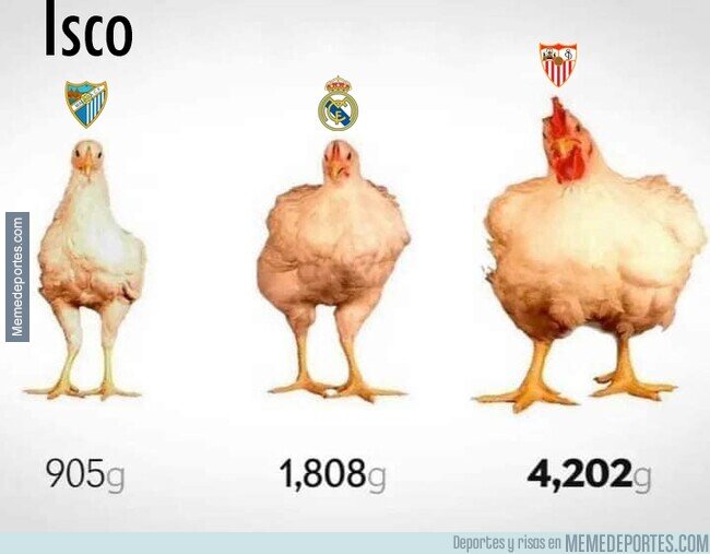1180197 - La evolución de Isco