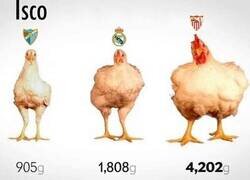 Enlace a La evolución de Isco