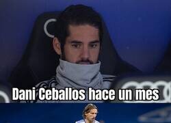 Enlace a El resurgir del utrerano