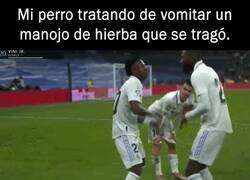 Enlace a Se está purgando, tranquilos.