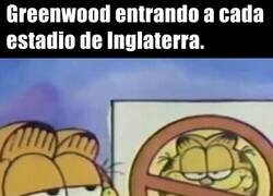 Enlace a Sinfonías por todos lados