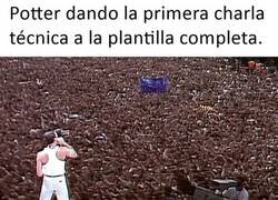 Enlace a Sobrepoblación en el Chelsea