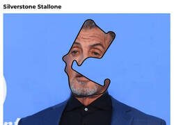 Enlace a La tontería de día