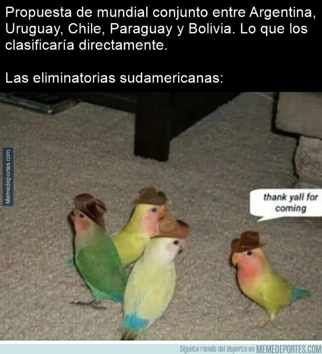 1180764 - Una fase de grupos que terminarían en un mes