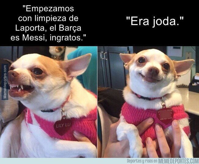 1180859 - Mateo Messi ha quedado como el tonto del año