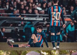 Enlace a Una terrible pédrida