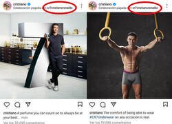 Enlace a El Bicho en colaboración con el Bicho