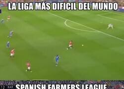 Enlace a Spanish farmers league