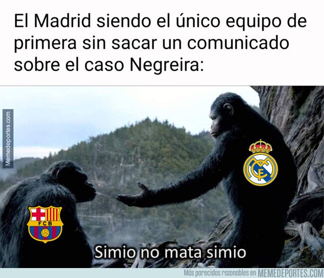 1182243 - Por lo que pueda pasar...