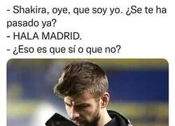 Enlace a Las chicas y sus misterios