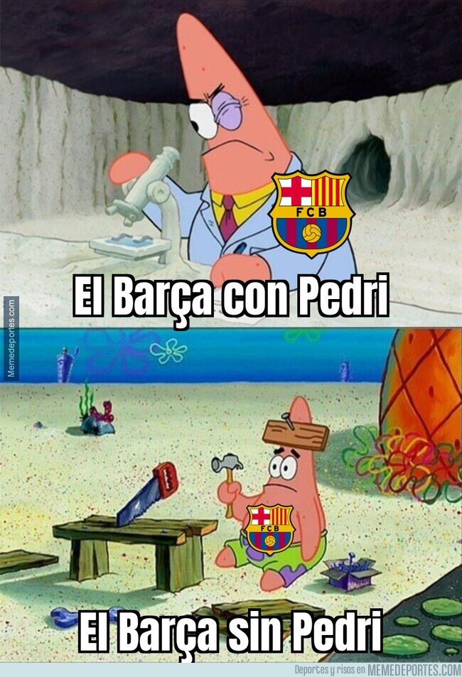 1182414 - No saben qué hacer sin él