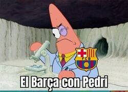 Enlace a No saben qué hacer sin él