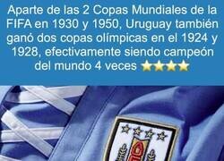 Enlace a ¿Por qué nadie le dice?