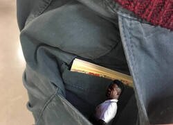Enlace a El bolsillo de Araujo