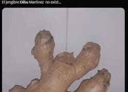 Enlace a El Jengibre Martinez