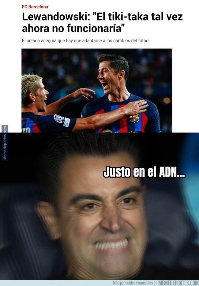 1183459 - Cómo se atreve a cuestionar el estilo...