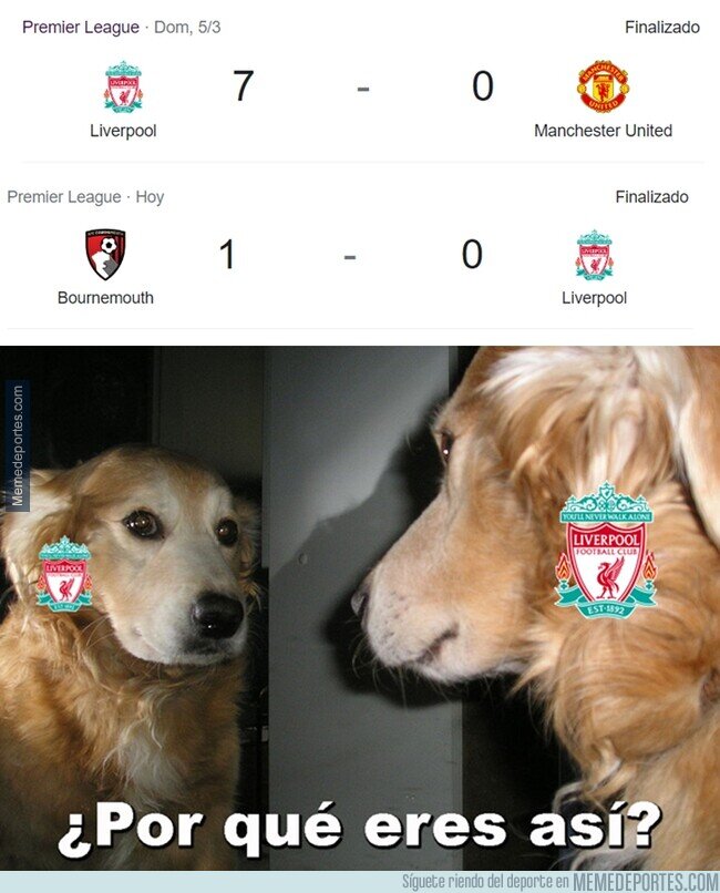 1183493 - Yo no entiendo nada.