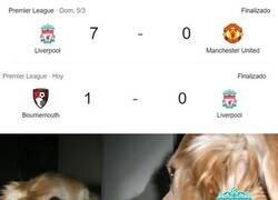 Enlace a Yo no entiendo nada.