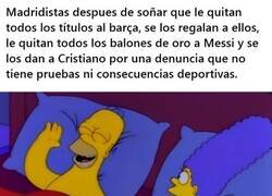 Enlace a No puedes negar que son adorables