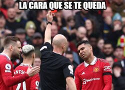 Enlace a Se cansó de entrenar y se puso a arbitrar