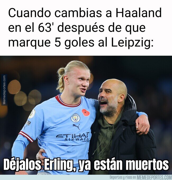1183747 - Ya está bien, animal