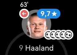 Enlace a Un animal anda suelto y ya está en cuartos