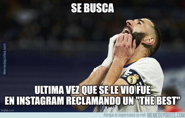 1184145 - Se busca un gatito