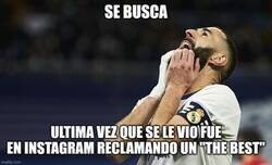 Enlace a Se busca un gatito