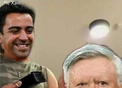 Enlace a Le han trasquilado la ceja