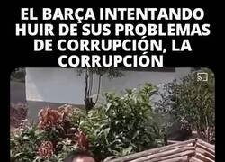 Enlace a Quizás la putrefacción es endógena y no exógena