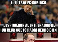 Enlace a La vida ni es justa ni tiene sentido