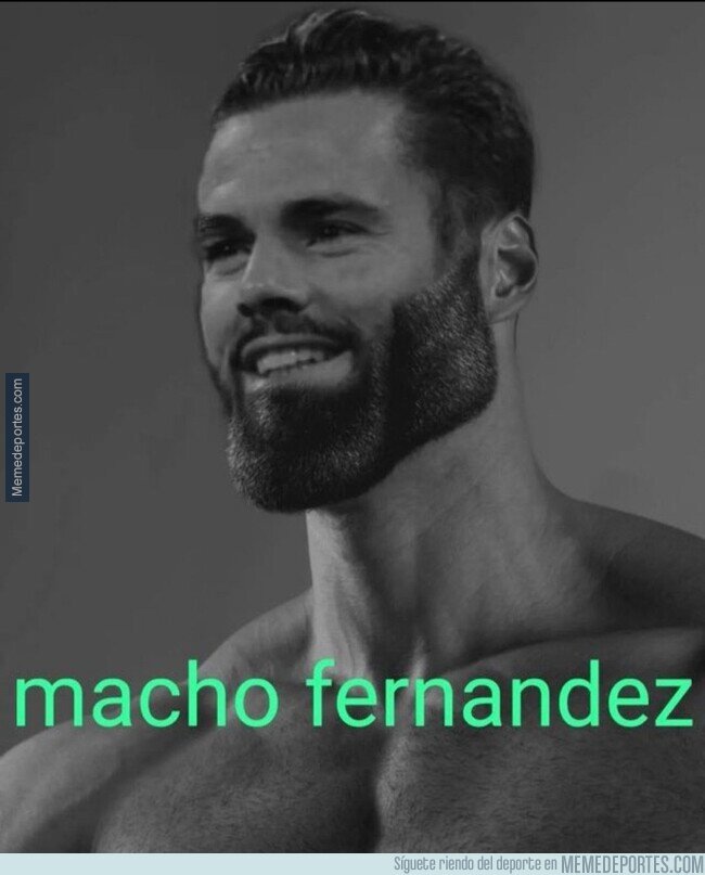 1184704 - La tontería del día