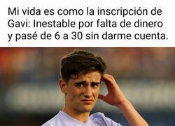 Enlace a Mi vida es como Gavi