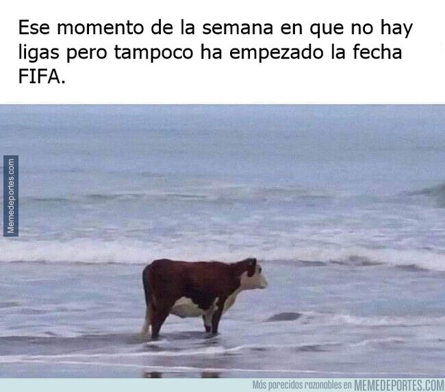 1184924 - El minilimbo de cada parón
