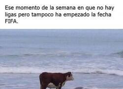 Enlace a El minilimbo de cada parón