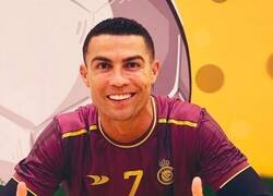 Enlace a ¿Dónde te sentaste bicho?