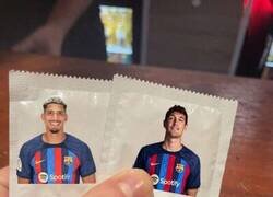 Enlace a ¿Necesitas protección?