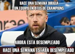 Enlace a Somos como una pluma al viento