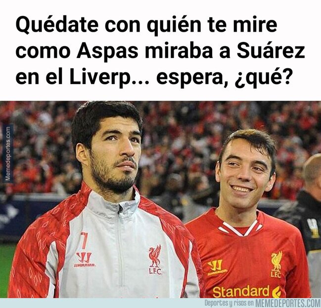1185171 - La imagen random del día