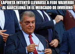 Enlace a Ahora todo tiene sentido